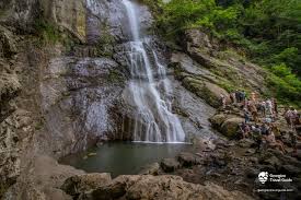 ბუნების ტურები